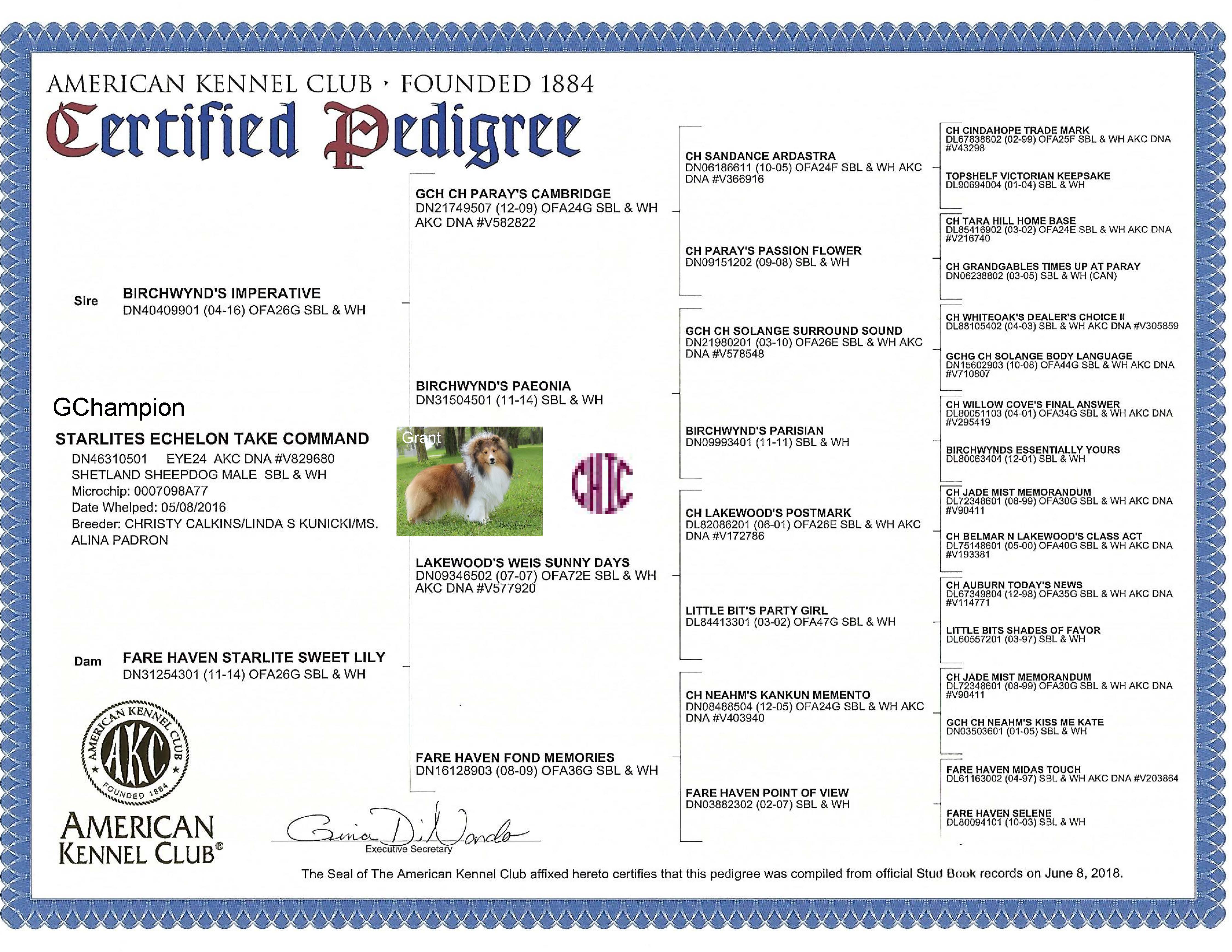 Grant GCH Starlites Echelon Take Command pedigree w CHIC logo