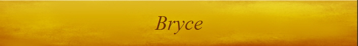 Bryce