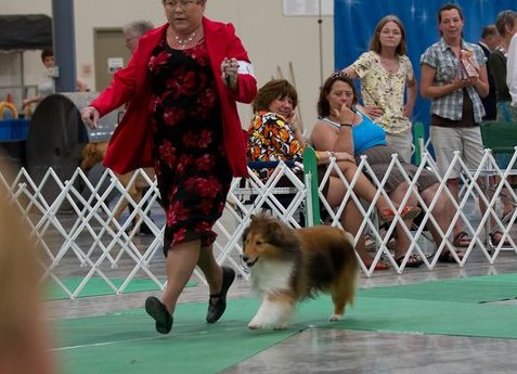 herding group June 19 2011 Rudy and Linda