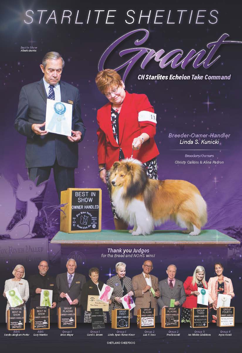 final ad for ShowSight July 2019